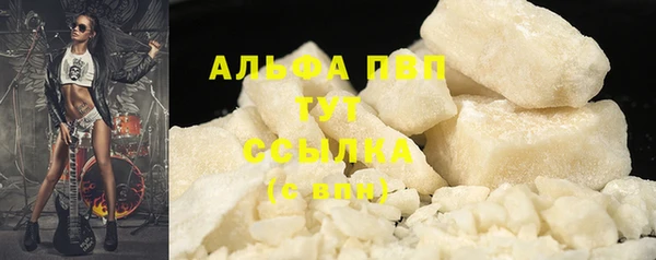 сатива Магас