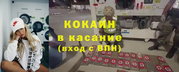 сатива Магас