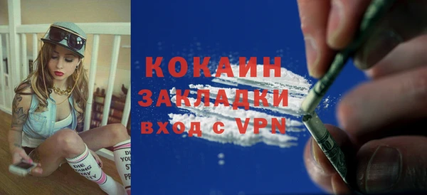 индика Майский