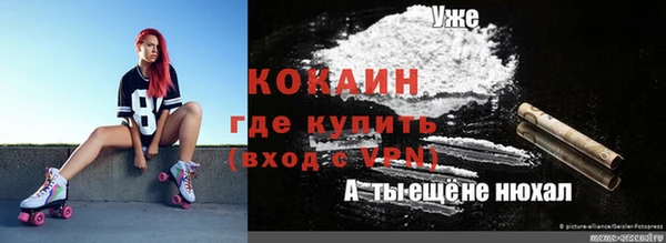 сатива Магас