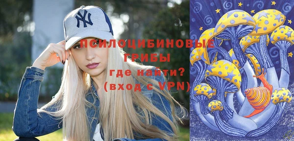 индика Майский