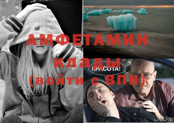 сатива Магас