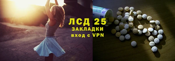 индика Майский