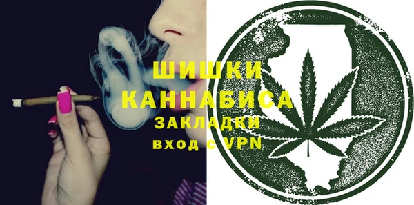 сатива Магас