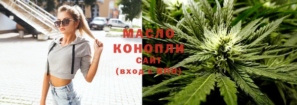 сатива Магас
