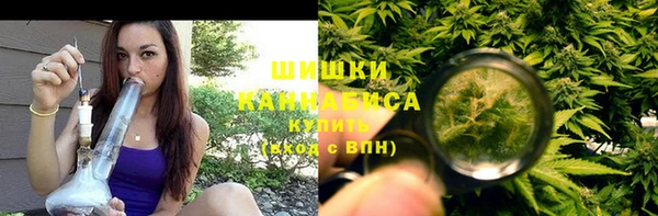 сатива Магас
