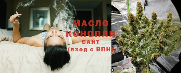 индика Майский