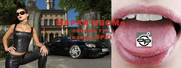 сатива Магас
