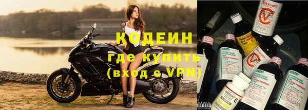 сатива Магас