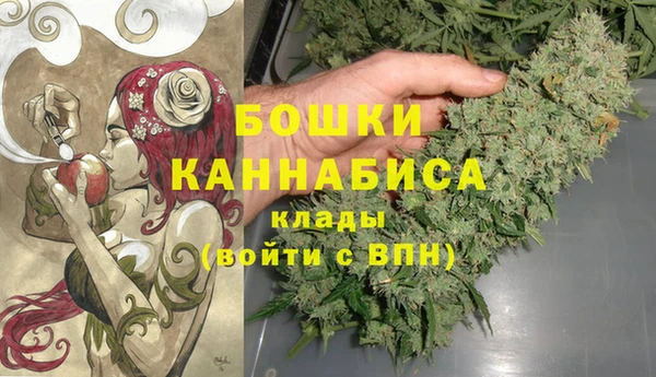 сатива Магас