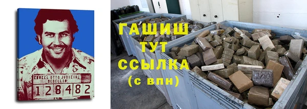 сатива Магас